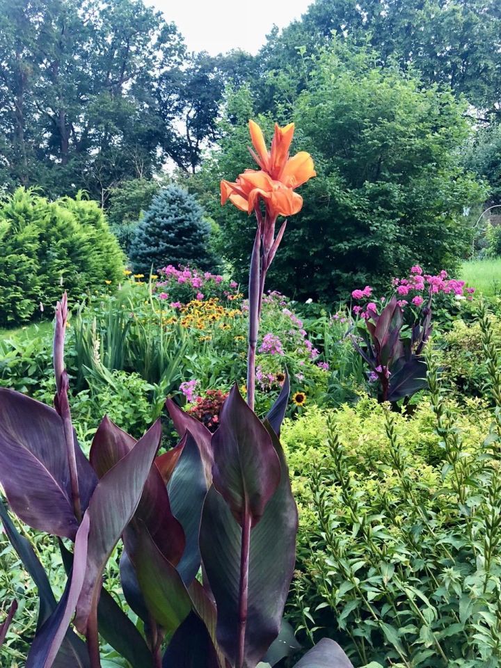 Mieszkanie 3-pokojowe Olsztyn Zatorze, ul. Radiowa. Zdjęcie 10