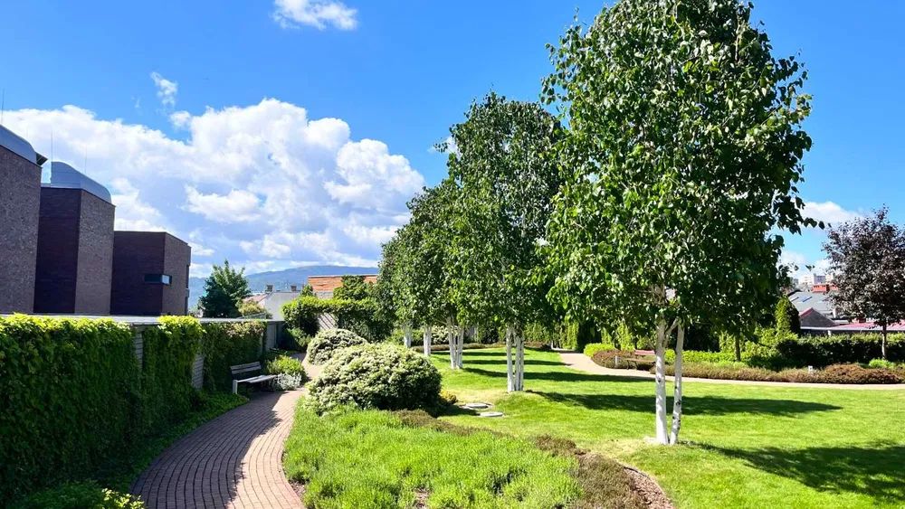 Mieszkanie 2-pokojowe Bielsko-Biała Śródmieście. Zdjęcie 7