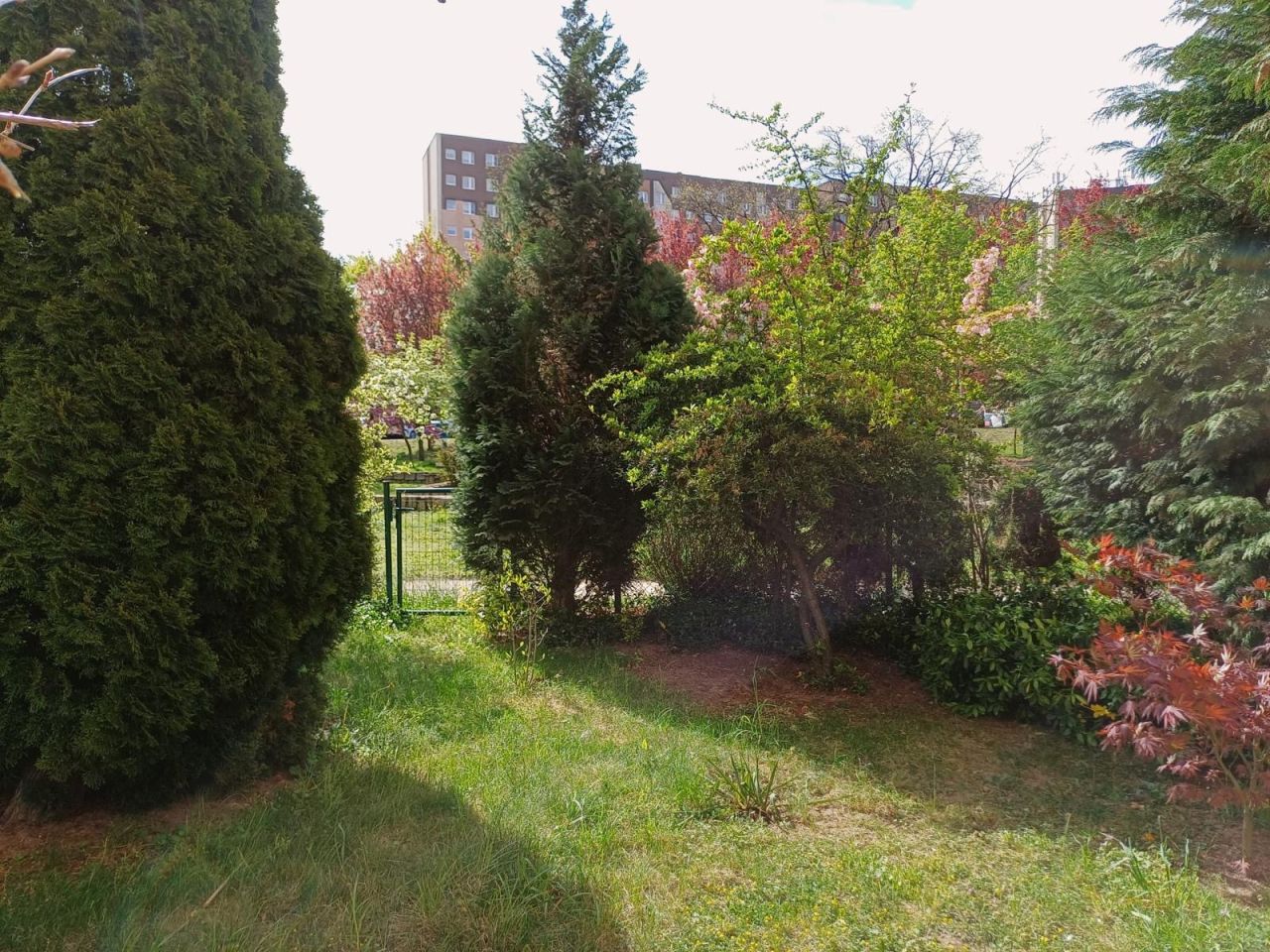 Mieszkanie 2-pokojowe Szczecin Bukowe, ul. Pomarańczowa. Zdjęcie 14