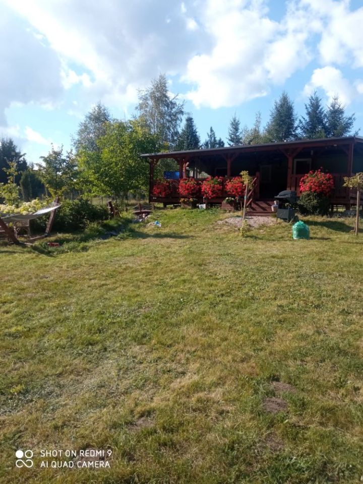 Działka Siecino. Zdjęcie 5