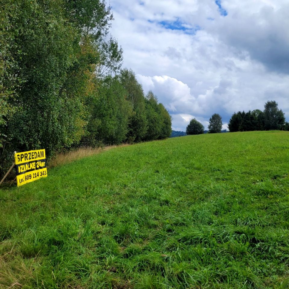 Działka rolno-budowlana Istebna. Zdjęcie 6