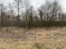 Działka rolno-budowlana Tomczyn Stare Cychry. Zdjęcie 2