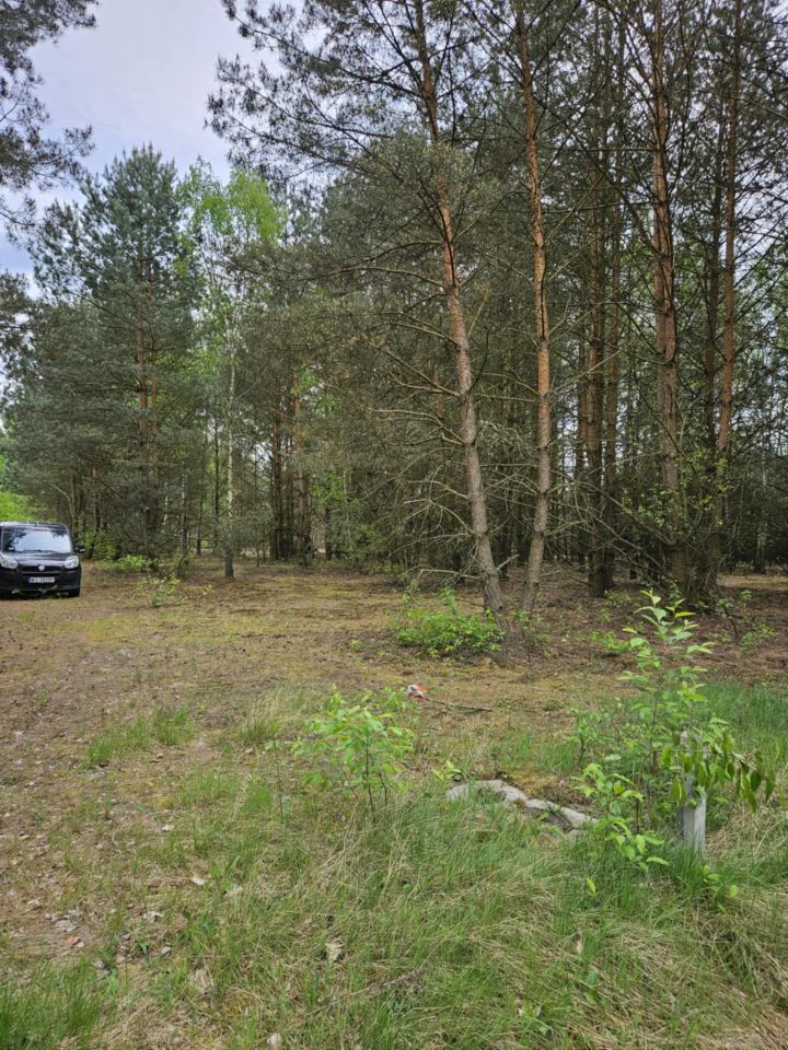 Działka rolno-budowlana Radziwiłłów, ul. Kota Filemona. Zdjęcie 4