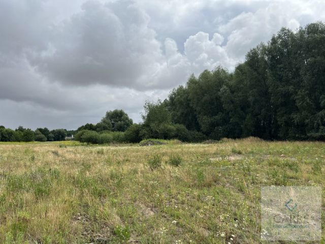 Działka budowlana Żarowo. Zdjęcie 3