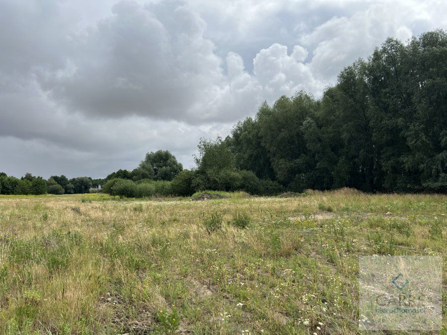 Działka budowlana Żarowo. Zdjęcie 3