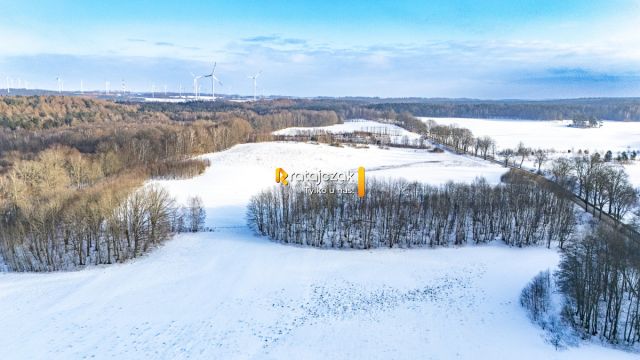 Działka rolna Mierzyno. Zdjęcie 8