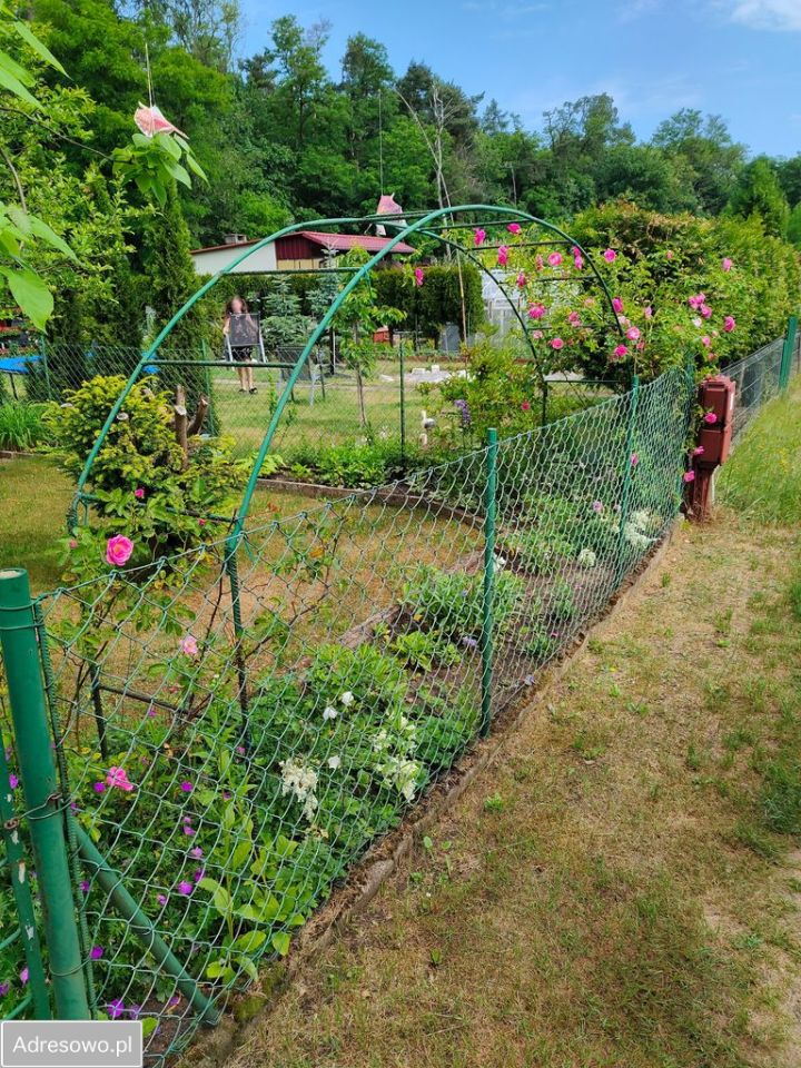 Działka rod Łódź Bałuty, ul. Krajowa. Zdjęcie 9