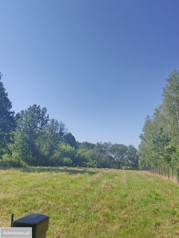 Działka siedliskowa Łysa Góra. Zdjęcie 1