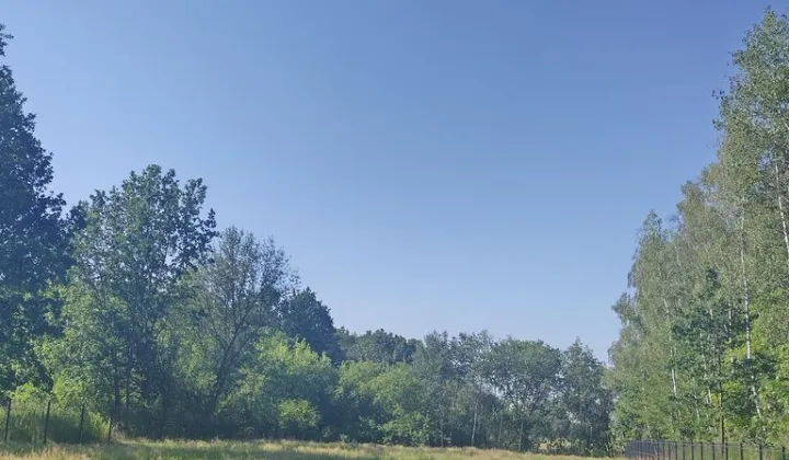 Działka siedliskowa Łysa Góra