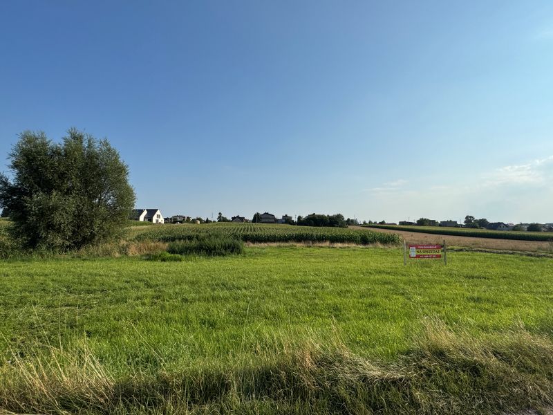 Działka rolno-budowlana Wieszowa. Zdjęcie 10