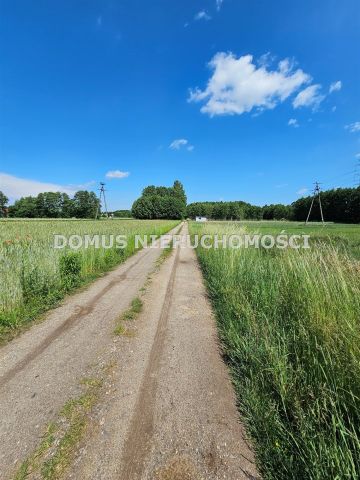 Działka rolna Wola Cyrusowa-Kolonia. Zdjęcie 1