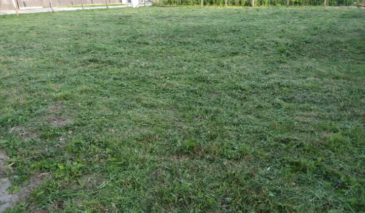 Działka rolna Radom Idalin, ul. Janiszpolska