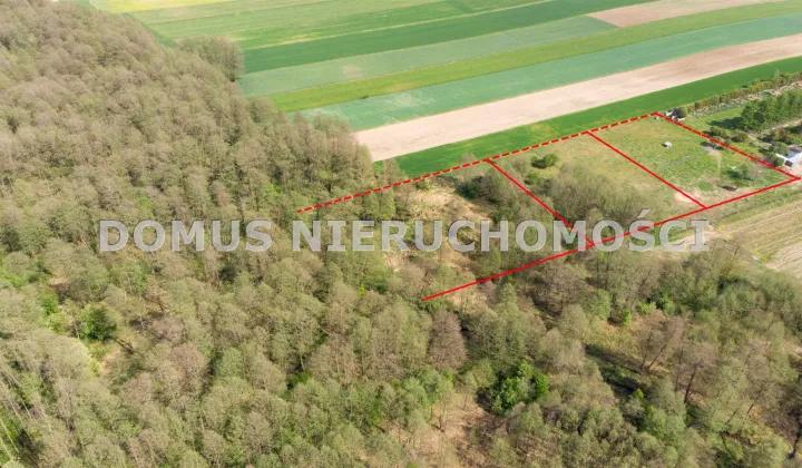Działka siedliskowa Lubiska