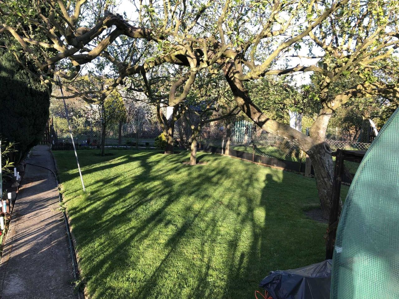 Działka rod Szczecin Bukowe, ul. Bogumińska. Zdjęcie 7