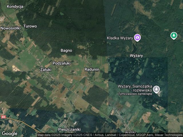 Działka leśna Radunin. Zdjęcie 1