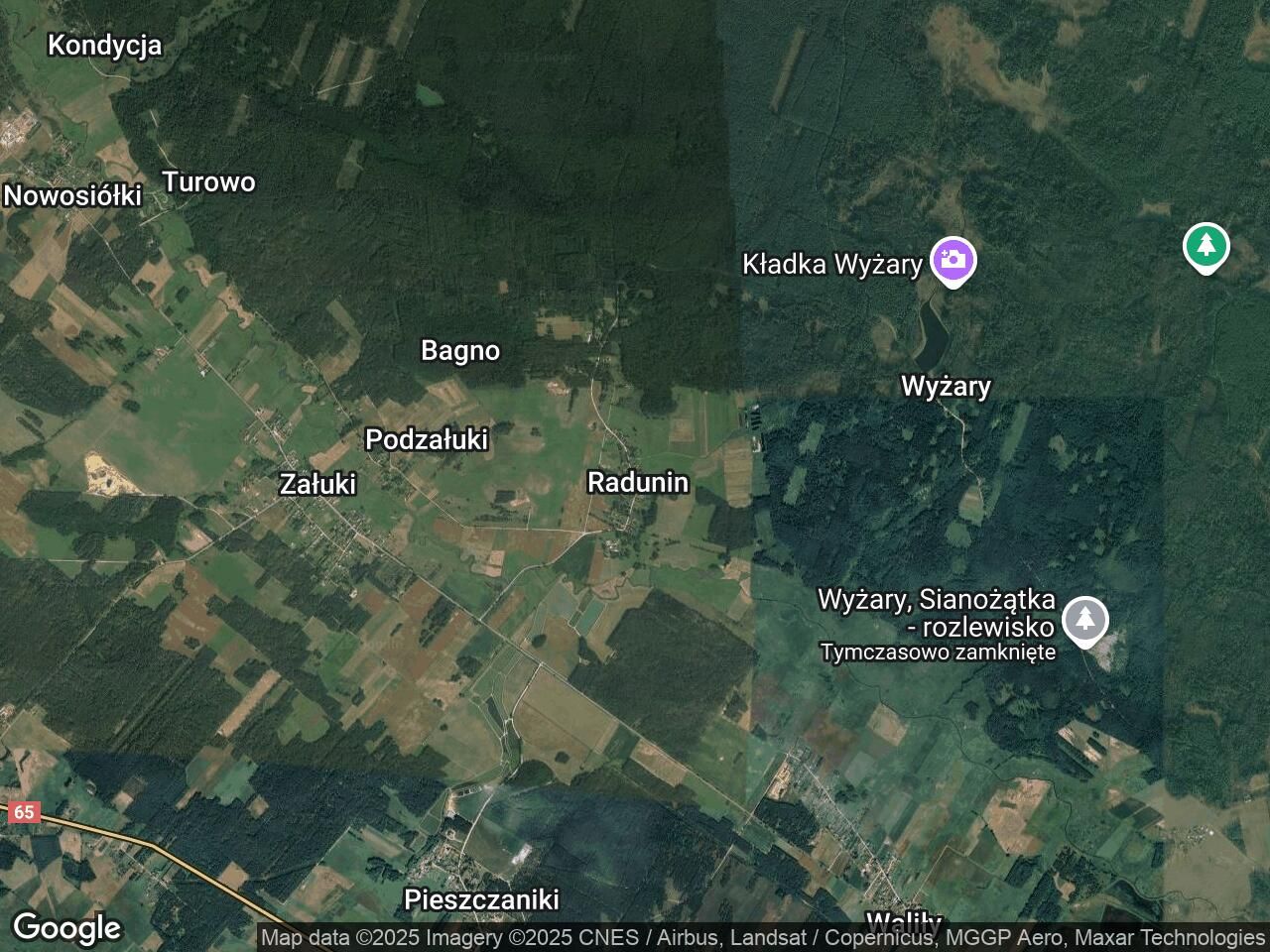 Działka leśna Radunin