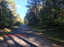 Działka rolna Żdżarki. Zdjęcie 3