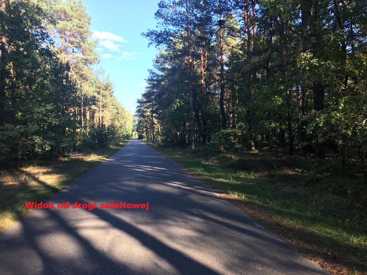 Działka rolna Żdżarki. Zdjęcie 4