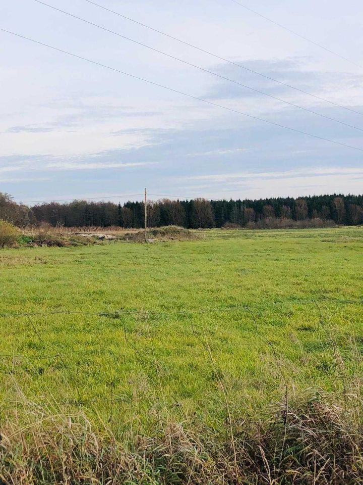 Działka inwestycyjna Bolemin. Zdjęcie 3