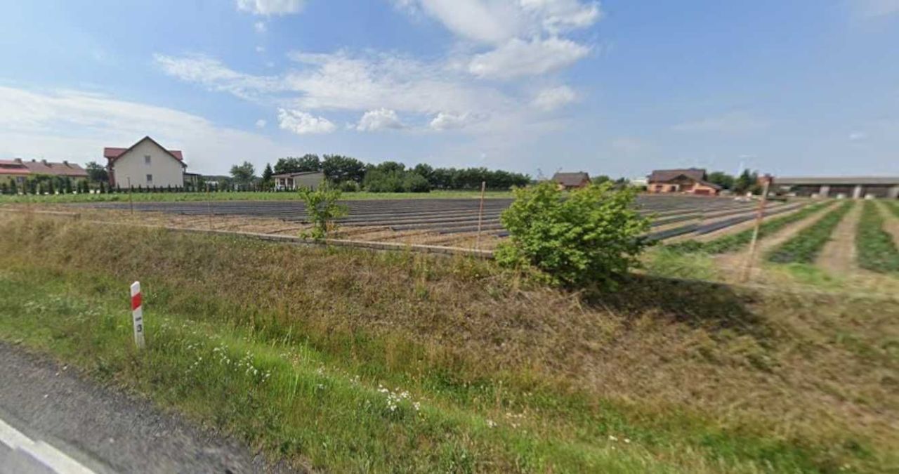 Działka budowlana Mroczeń. Zdjęcie 1