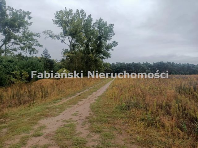 Działka budowlana Lusówko. Zdjęcie 9