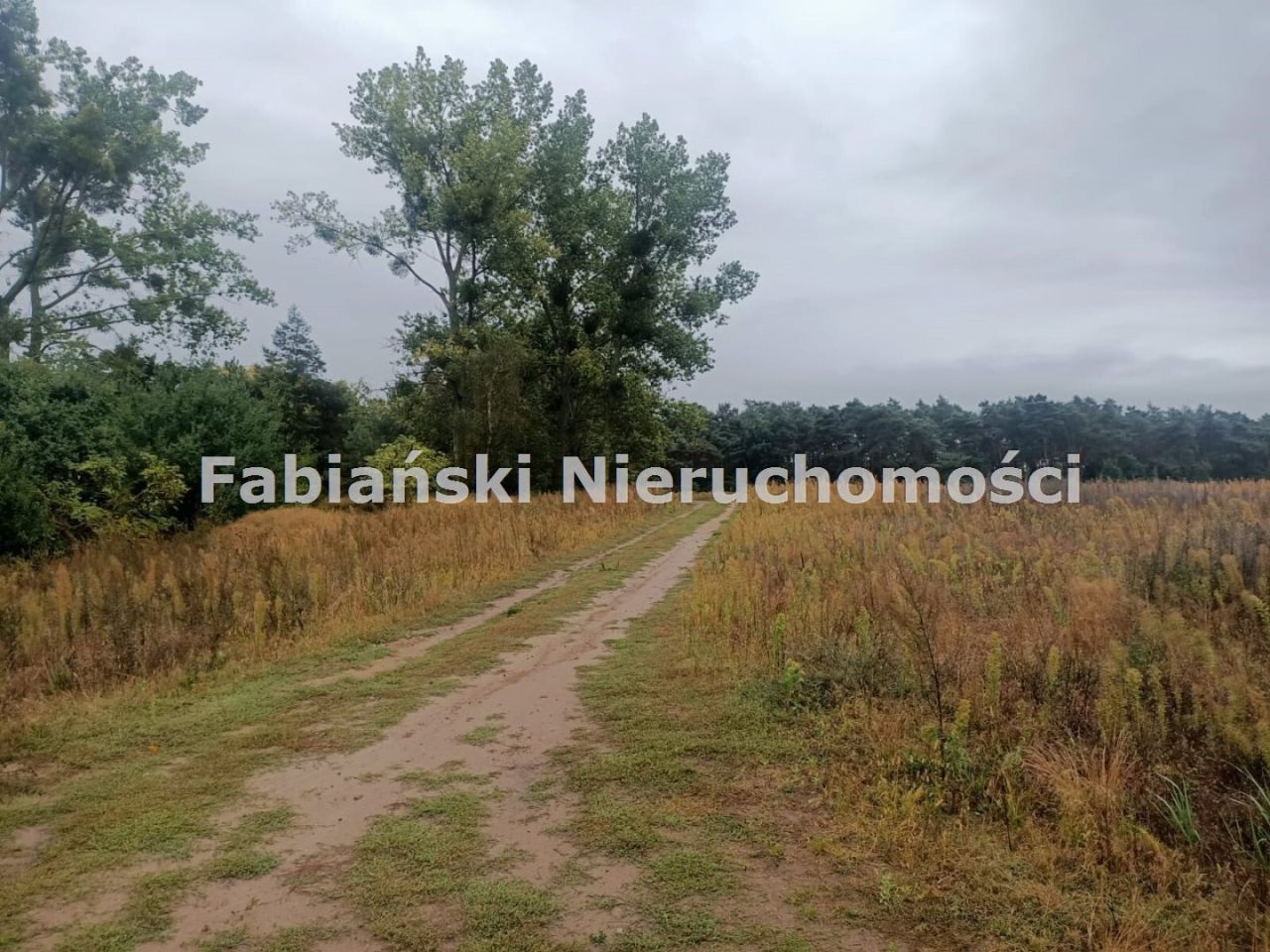 Działka budowlana Lusówko. Zdjęcie 9