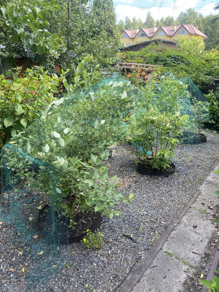 Działka rod Otwock Teklin, ul. Grunwaldzka. Zdjęcie 7