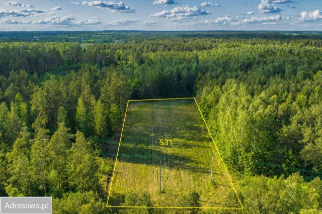Działka rolno-budowlana Olszyny. Zdjęcie 1