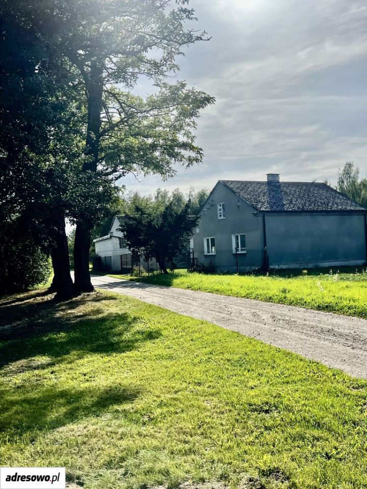 gospodarstwo, 4 pokoje Radzymin. Zdjęcie 2