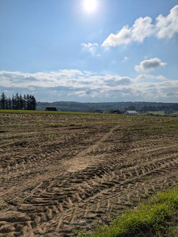 Działka budowlana Sopieszyno. Zdjęcie 1