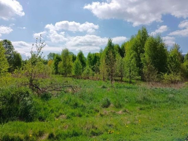 Działka siedliskowa Mlądz. Zdjęcie 2