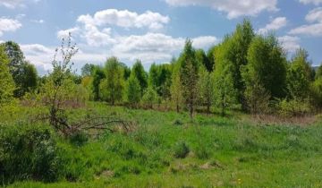 Działka siedliskowa Mlądz