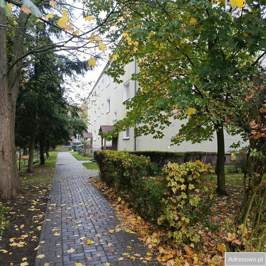 Mieszkanie 2-pokojowe Sulechów, ul. Wojska Polskiego. Zdjęcie 5