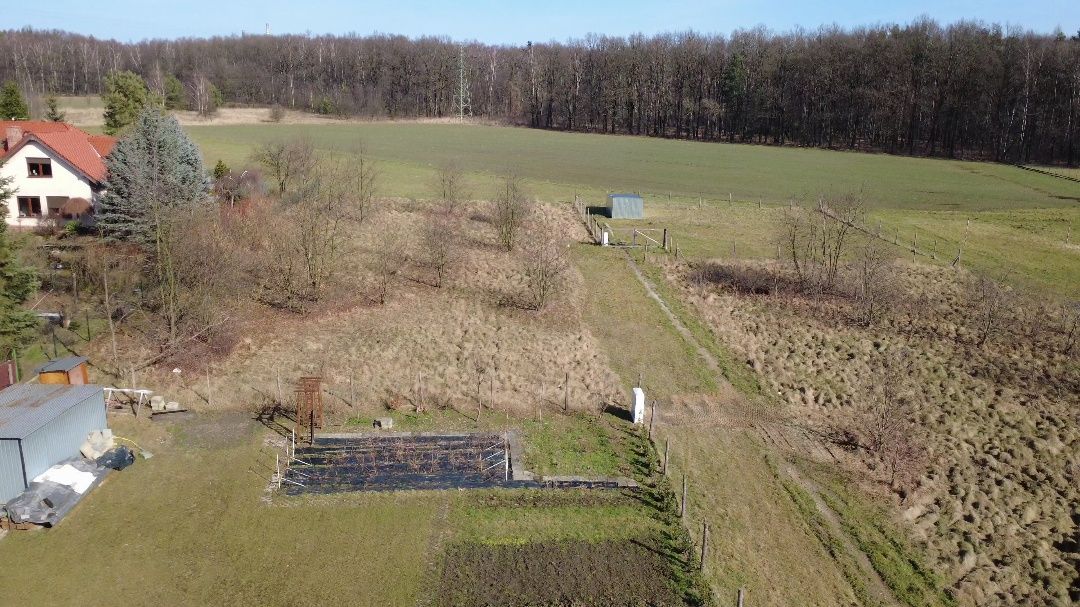 Działka budowlana Rybnik Zebrzydowice, ul. Krzywa. Zdjęcie 13