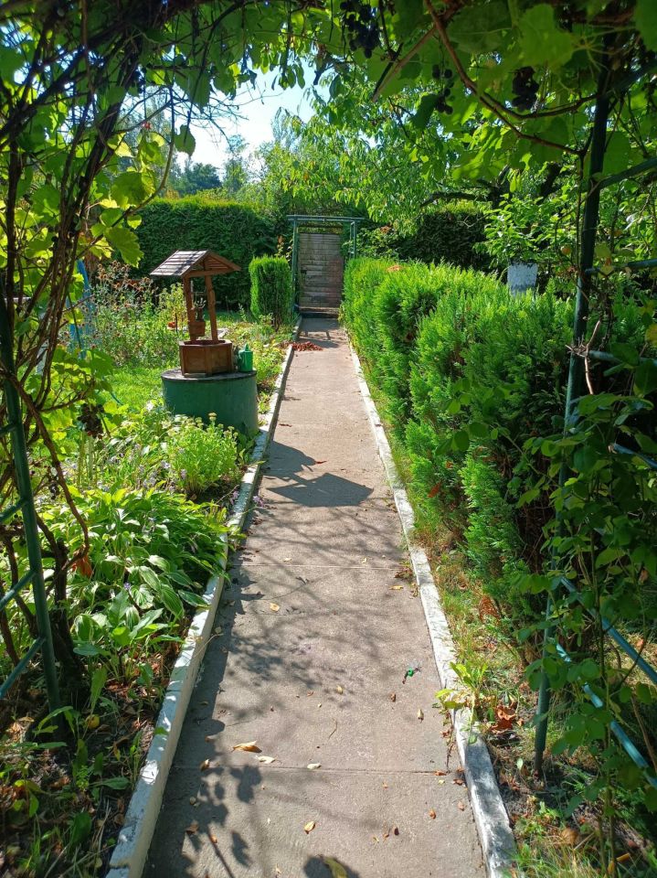 Działka rod Chorzów. Zdjęcie 5