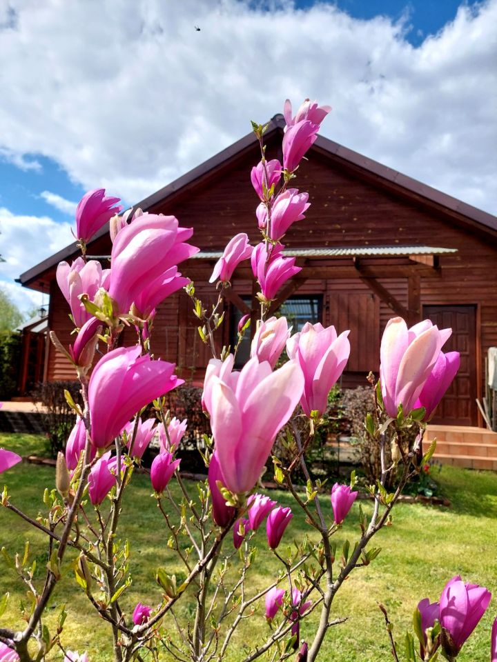 Działka rekreacyjna Łączonek. Zdjęcie 4