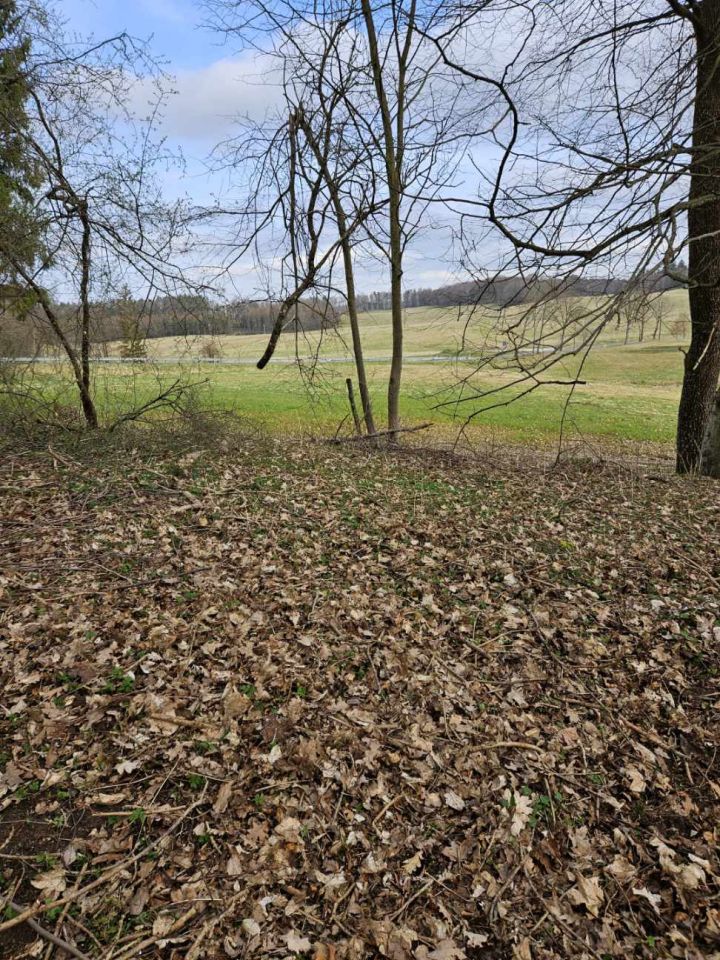 Działka budowlana Wielin. Zdjęcie 7