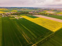 Działka rolno-budowlana Piotrowice. Zdjęcie 3