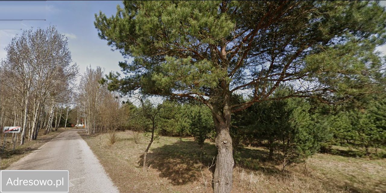 Działka rolno-budowlana Pilchy. Zdjęcie 2