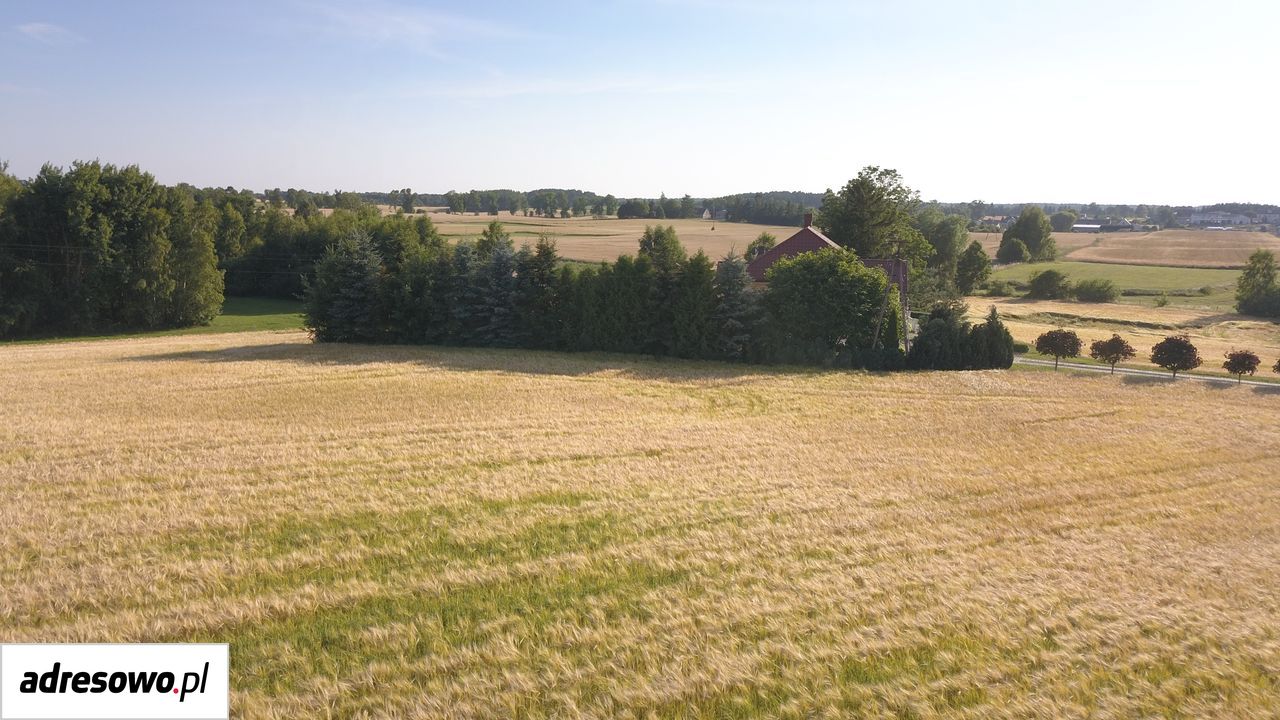 Działka budowlana Lubichowo. Zdjęcie 11