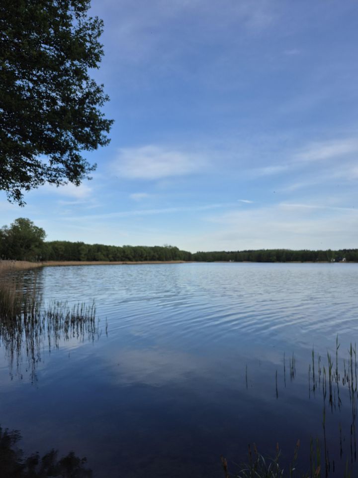 Działka budowlana Branica Za Lasem. Zdjęcie 5