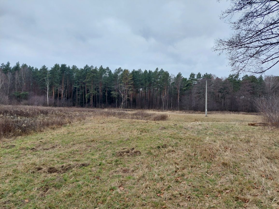 Działka inwestycyjna Mołodycz. Zdjęcie 6