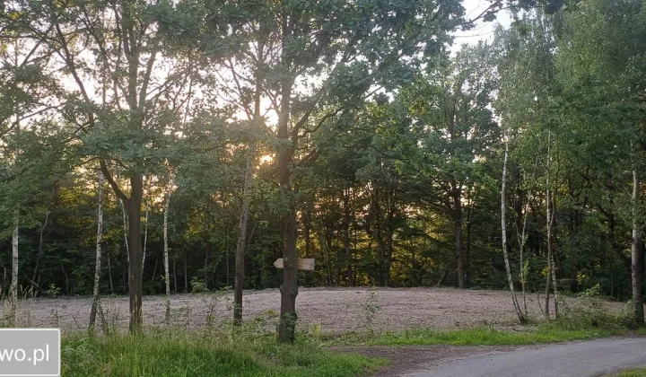 Działka budowlana Marcyporęba