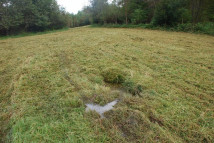 Działka siedliskowa Górzanka. Zdjęcie 1