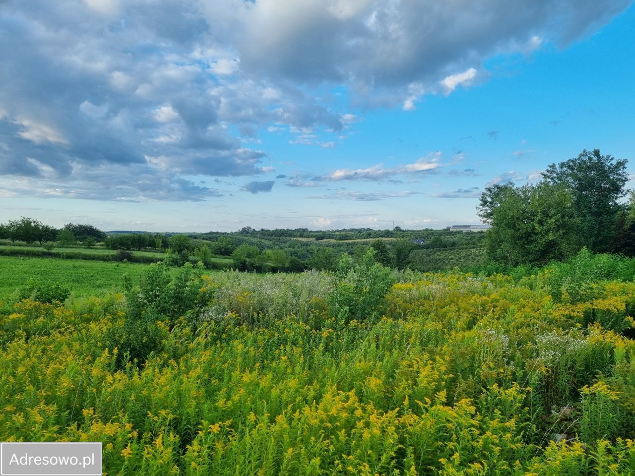 Działka Sandomierz Mokoszyn, ul. Pogodna. Zdjęcie 13