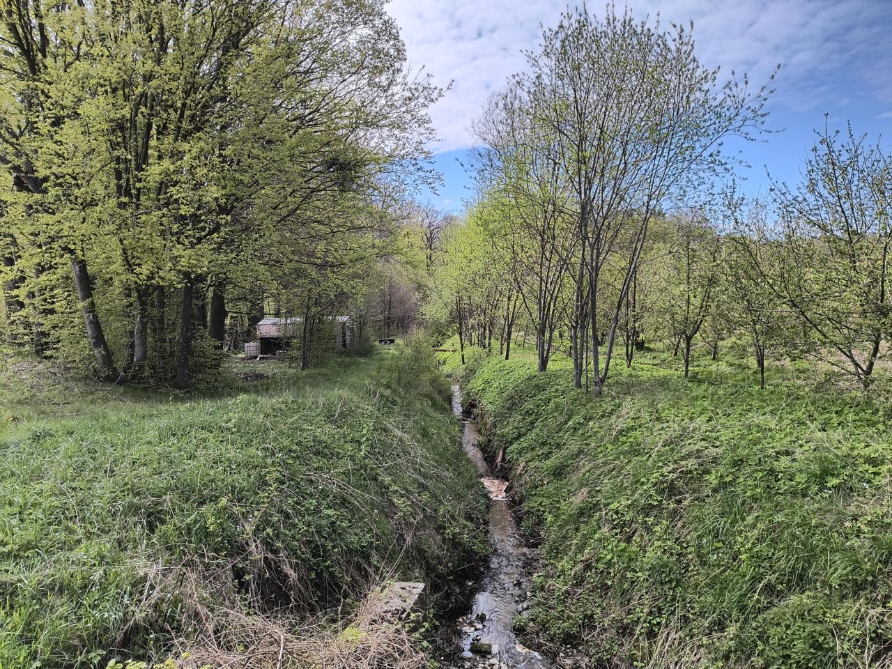 Działka rekreacyjna Sławutowo, ul. Szkolna. Zdjęcie 8