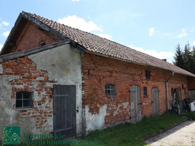 bliźniak Wirwilty. Zdjęcie 6