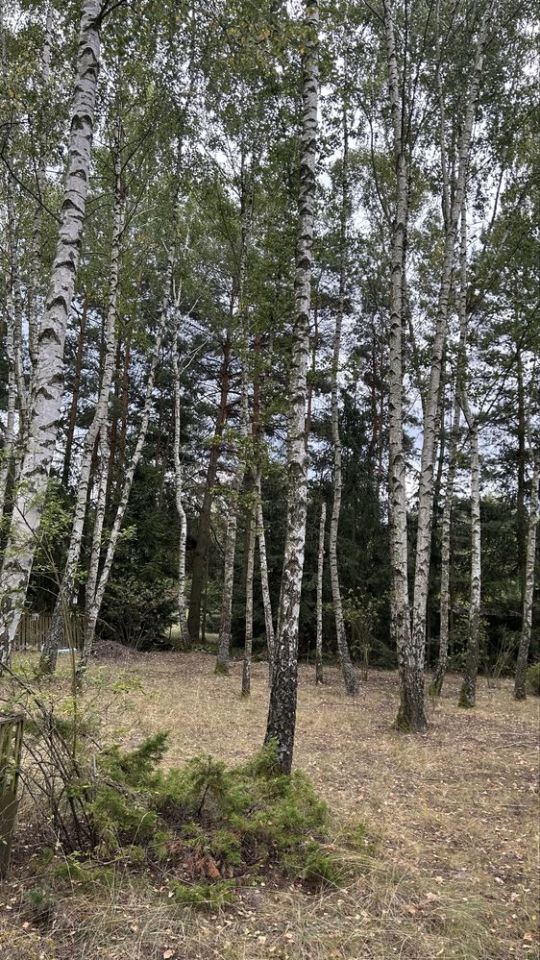 Działka rod Stare Budy, ul. Wypoczynkowa. Zdjęcie 3