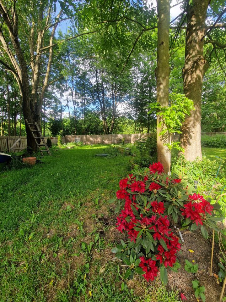 dworek, 10 pokoi Pławnica, Pławnica. Zdjęcie 8