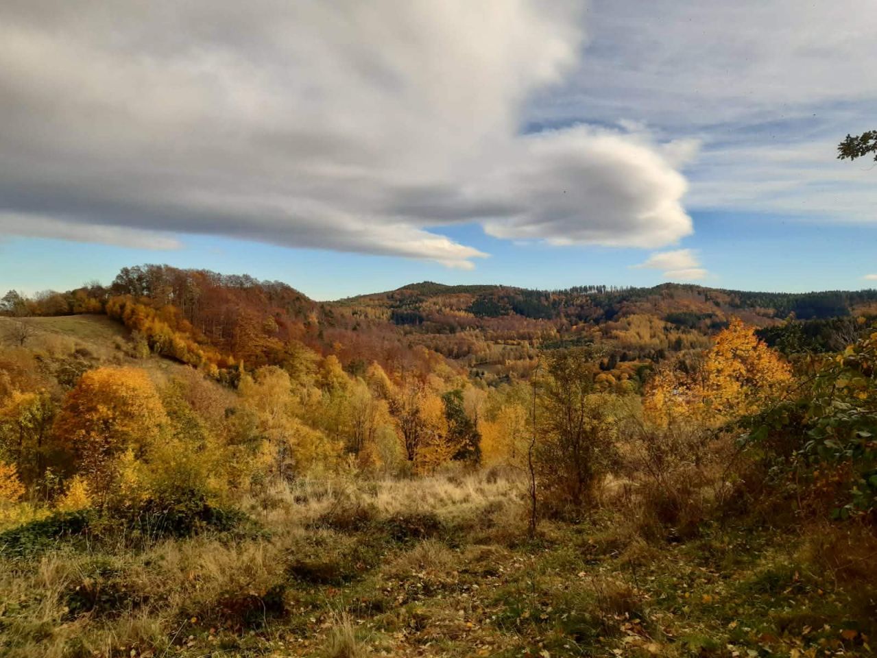 Działka budowlana Rościszów. Zdjęcie 4